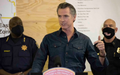 A McDonald’s franchisee gave Gavin Newsom a reality check for creating this nightmare