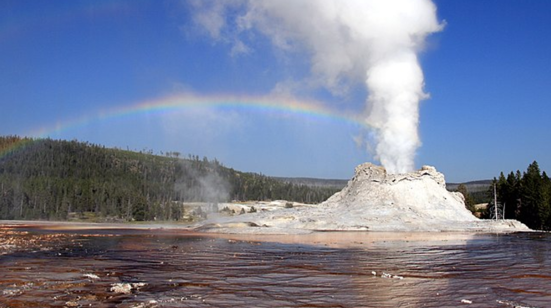 Several “tourons” at Yellowstone just ended up getting themselves into hot water