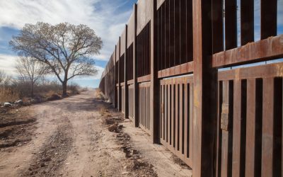 Border Czar Tom Homan Tells New Migrant Caravan It Has Zero Chance of Entering America